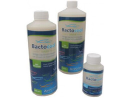 Bactocool - levende bacteriecultuur