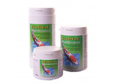 ECOTREAT MAINTENANCE 500 g